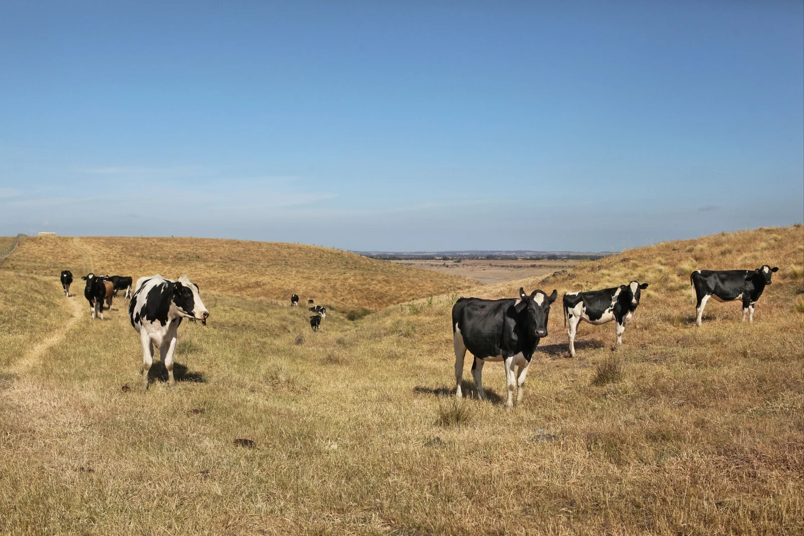 Additional image 16 of 490 Settlement Road, Sunbury VIC 3429