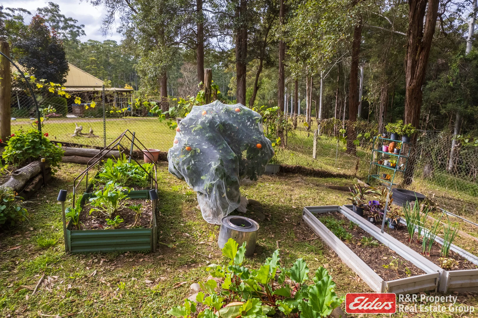 Additional image 24 of 646 Newmans Road, Wootton NSW 2423