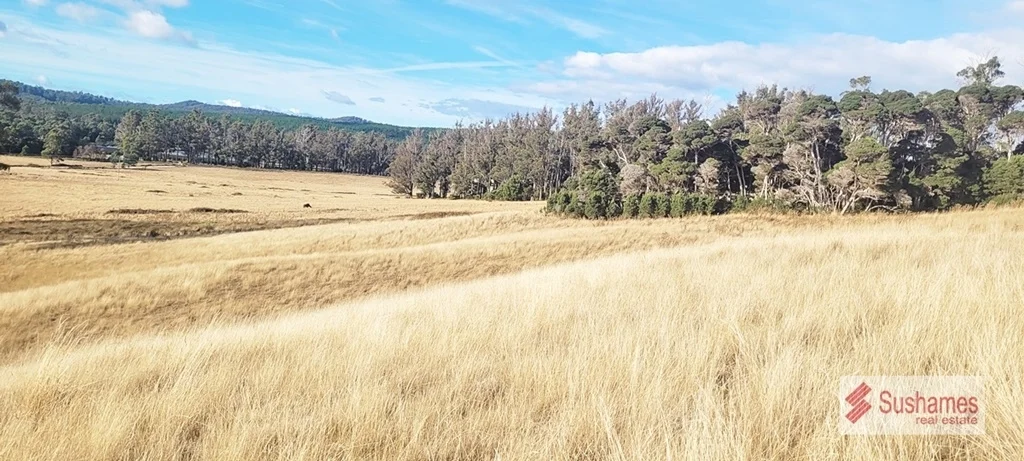 Additional image 11 of Lot 2 Storys Road, Lebrina TAS 7254