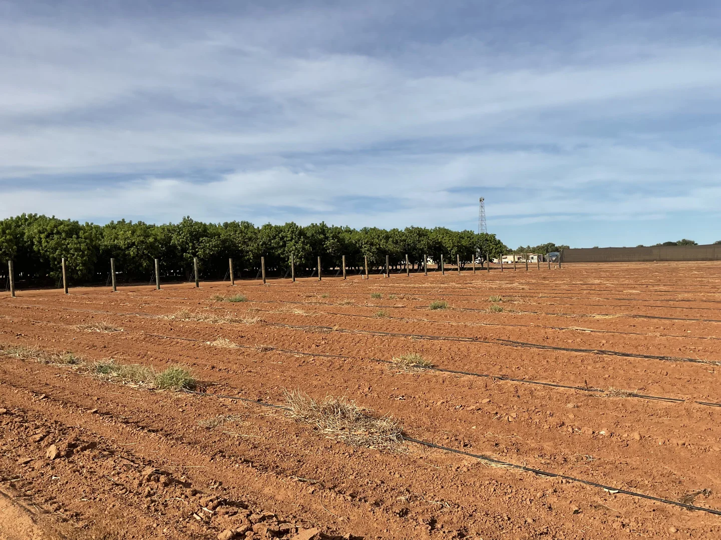 Additional image 25 of 137 North River Road, North Plantations WA 6701