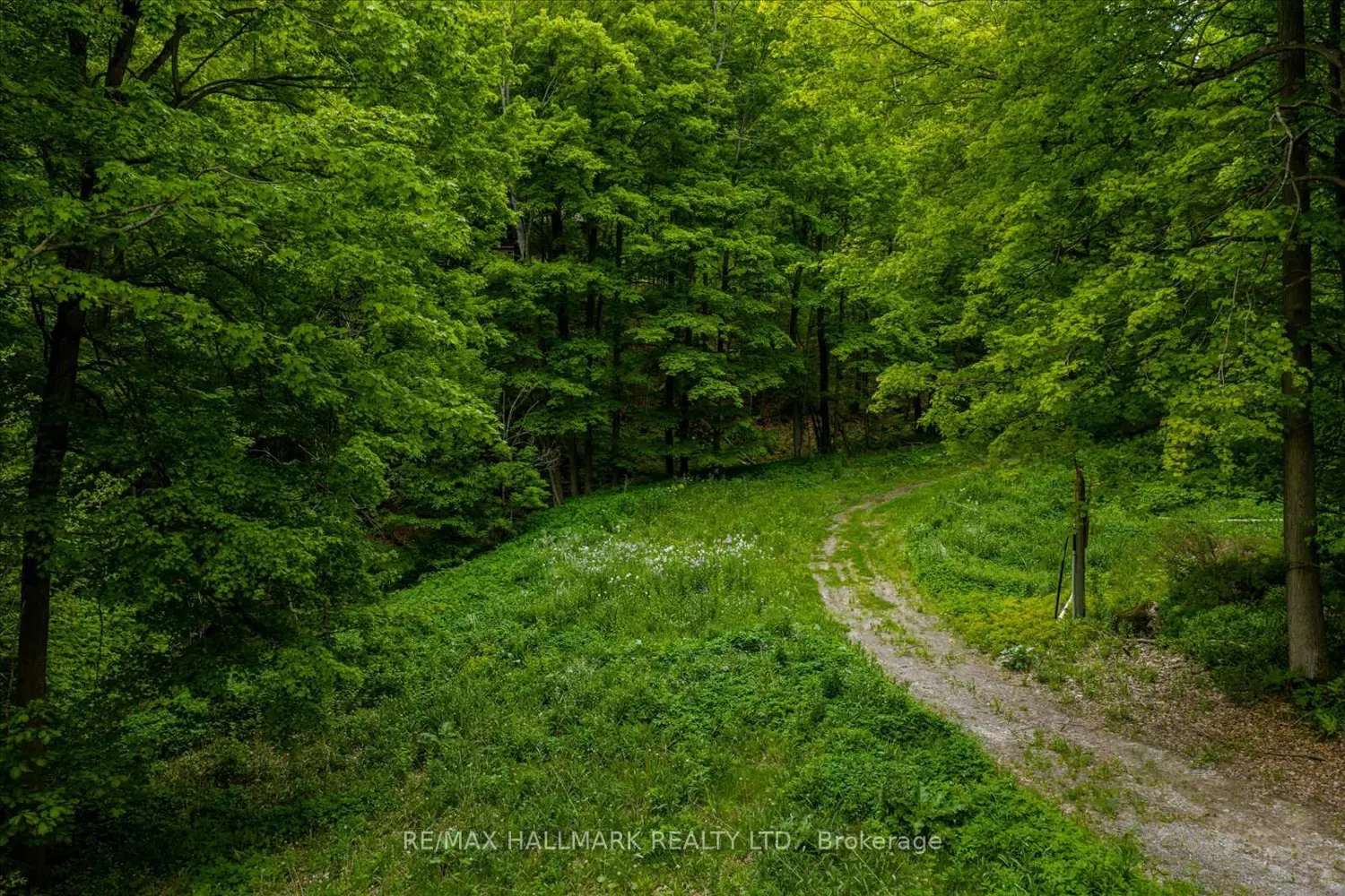 Additional image 7 of 430 Churchill Avenue