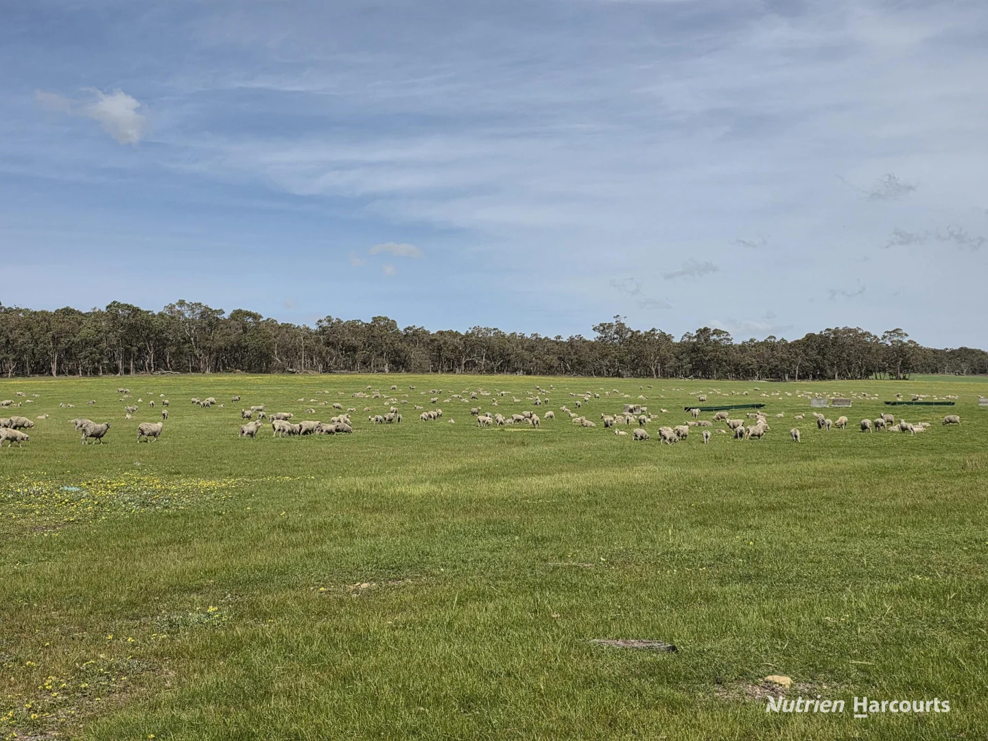 Additional image 54 of 4038 & 4184 Chesterpass Road, Takalarup WA 6324