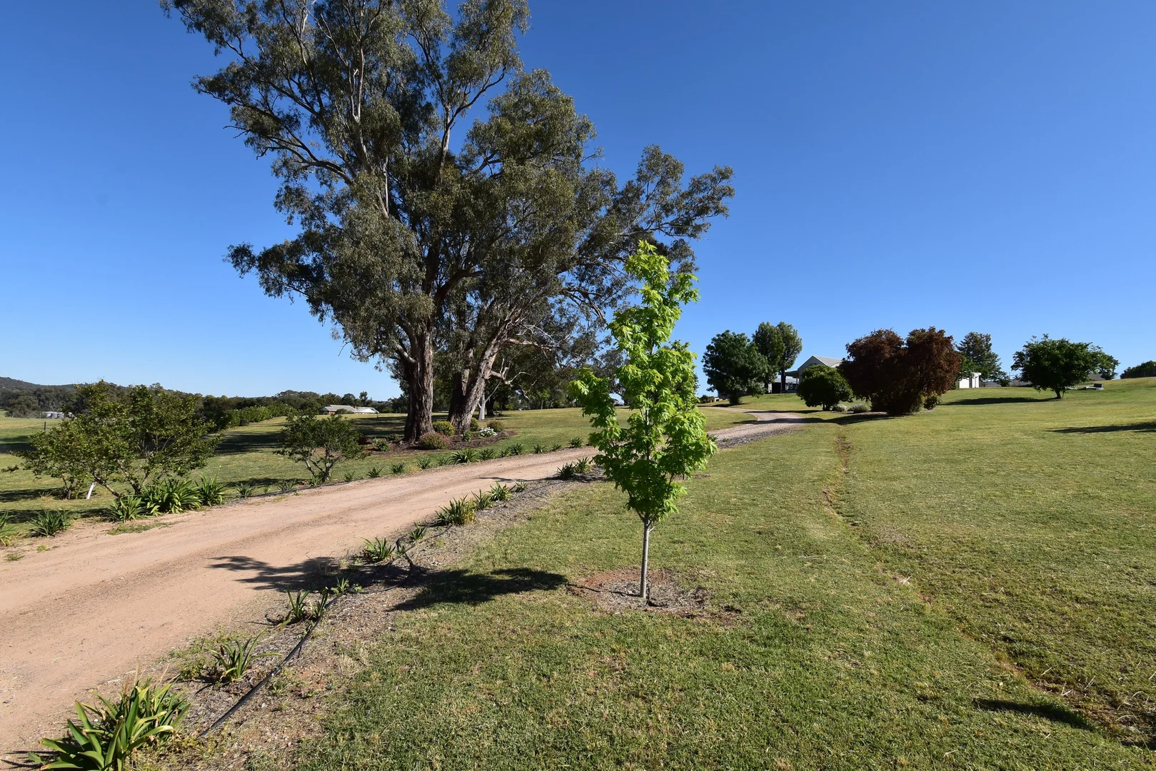 Additional image 34 of 7 Pindari Grove, Montefiores NSW 2820
