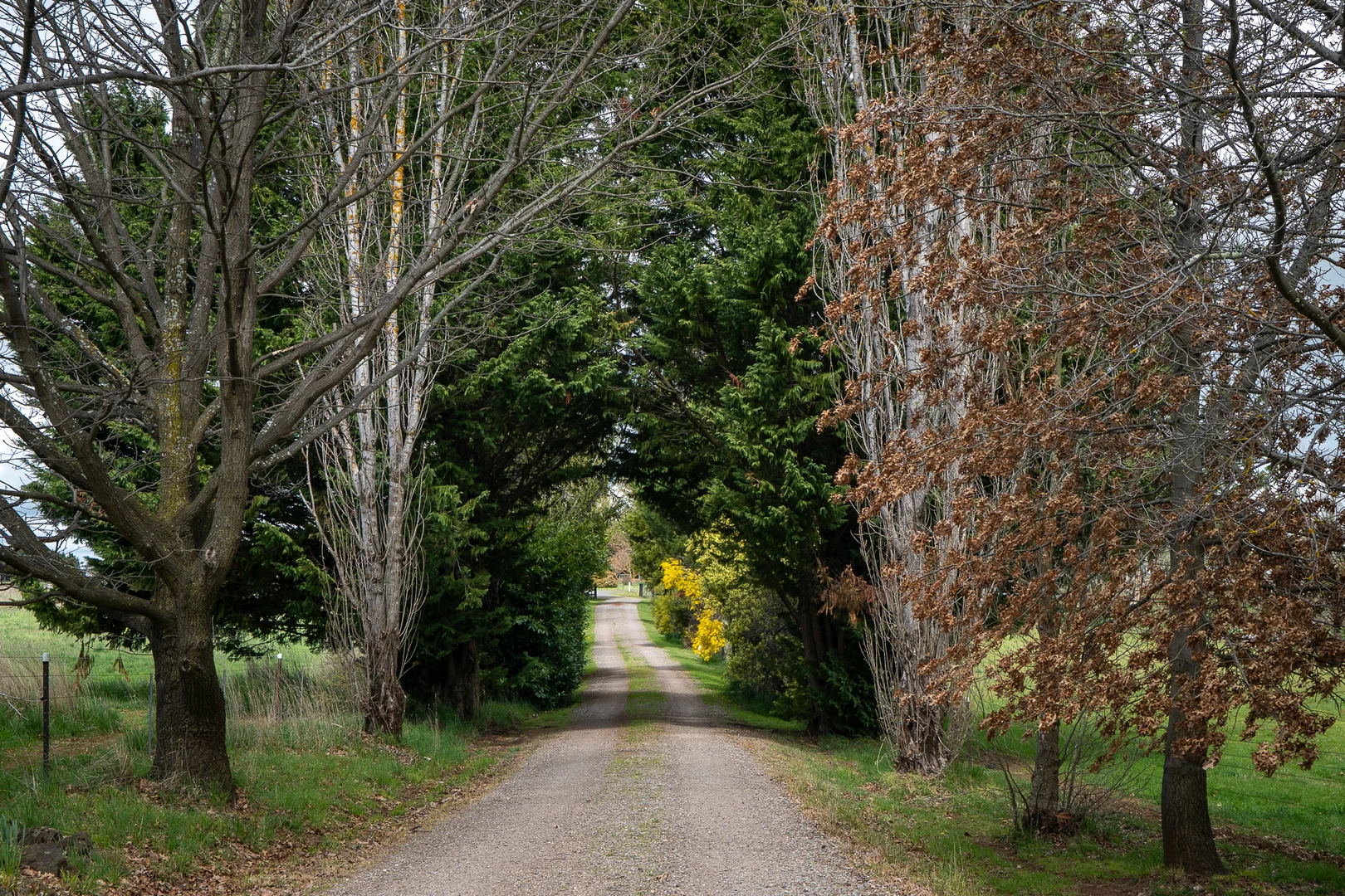 Additional image 2 of 584 Huntley Road, Orange NSW 2800