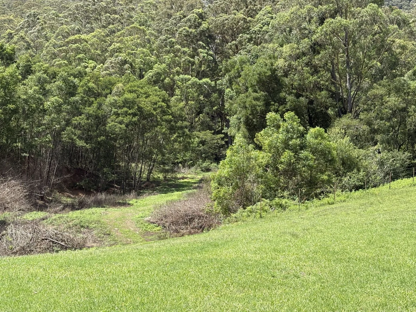 Additional image 25 of 65c Marden Lane, Kangaroo Valley NSW 2577