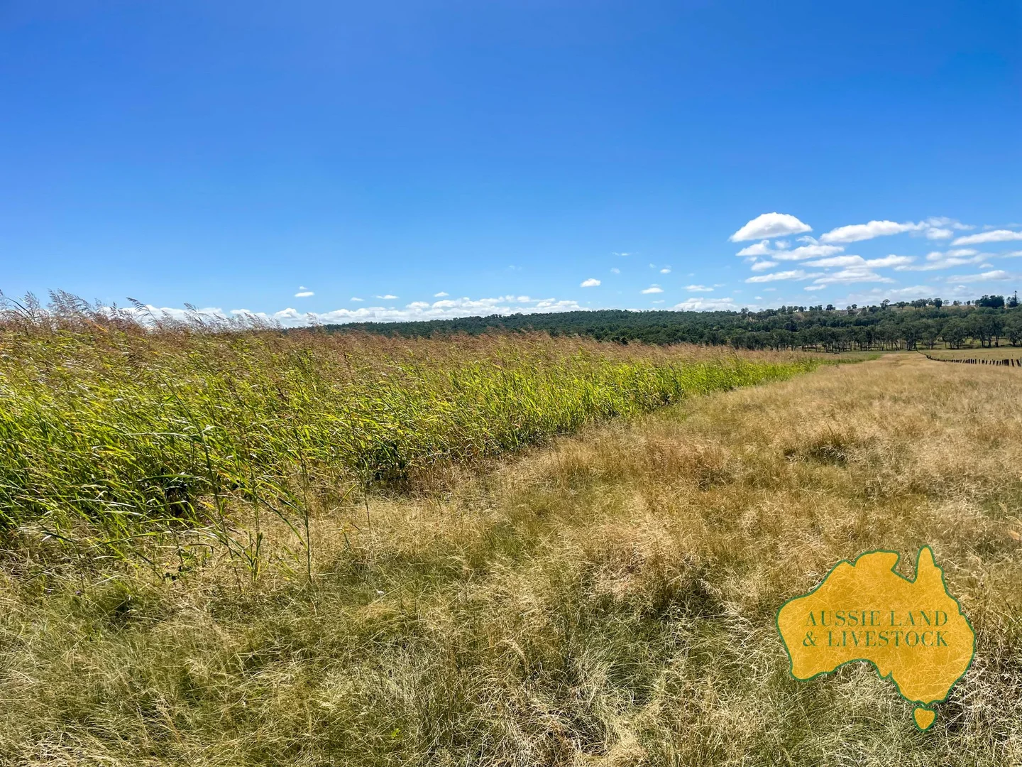 Additional image 62 of 629 Stuart Valley Drive, Haly Creek QLD 4610