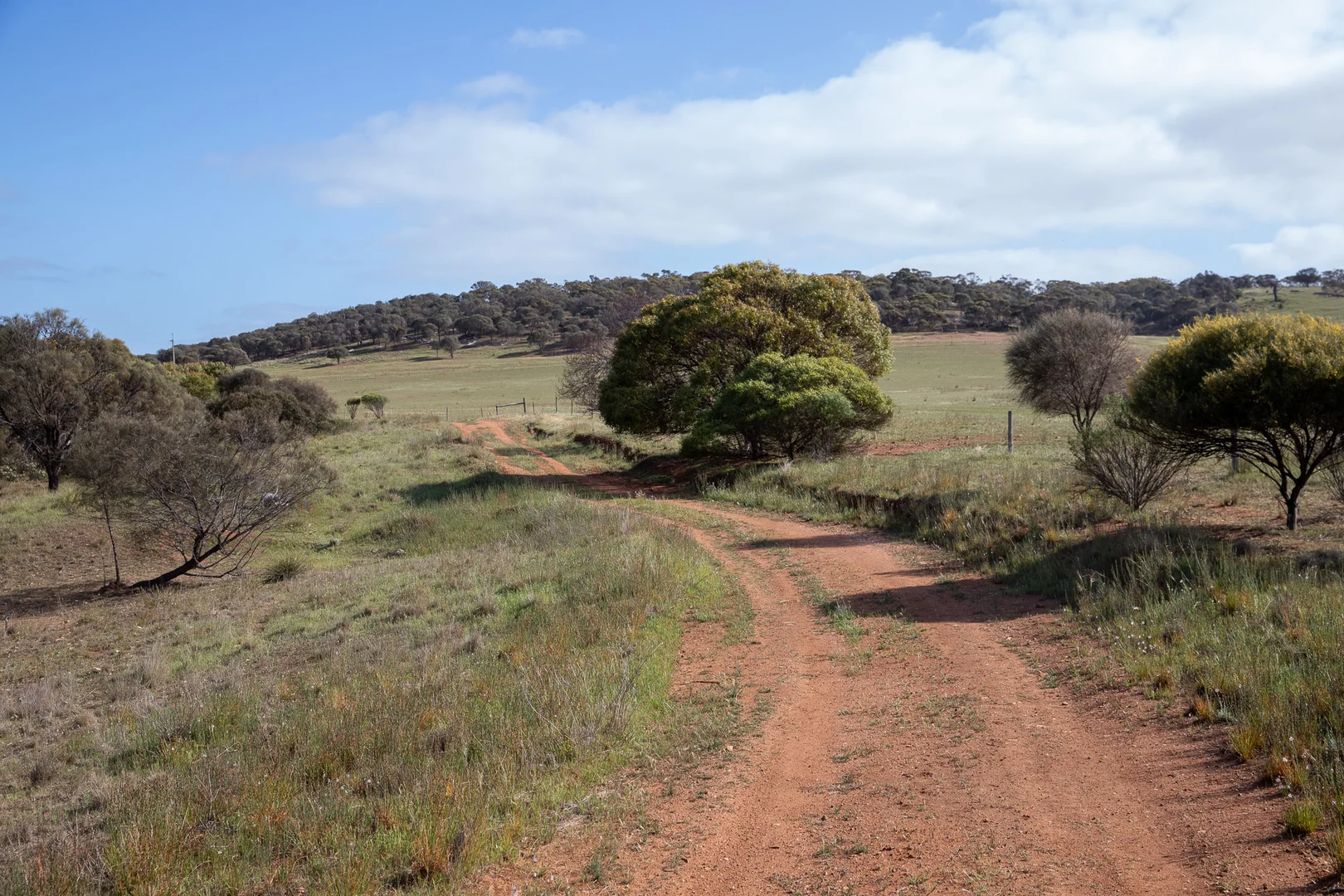 Additional image 22 of Lots 99 & Bawdens Road, Lipson SA 5607