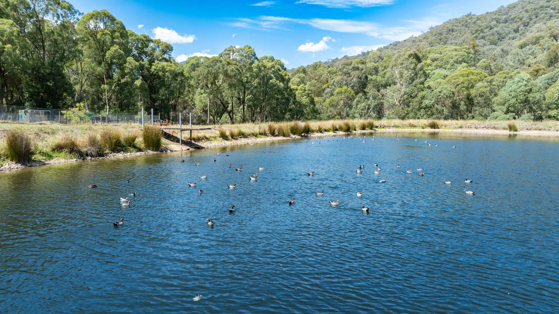 Additional image 8 of 217a Simmonds Creek Road, Tawonga South VIC 3698