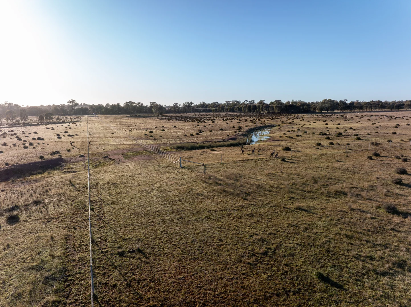 Additional image 6 of Lagoon Creek Road, Minore NSW 2830