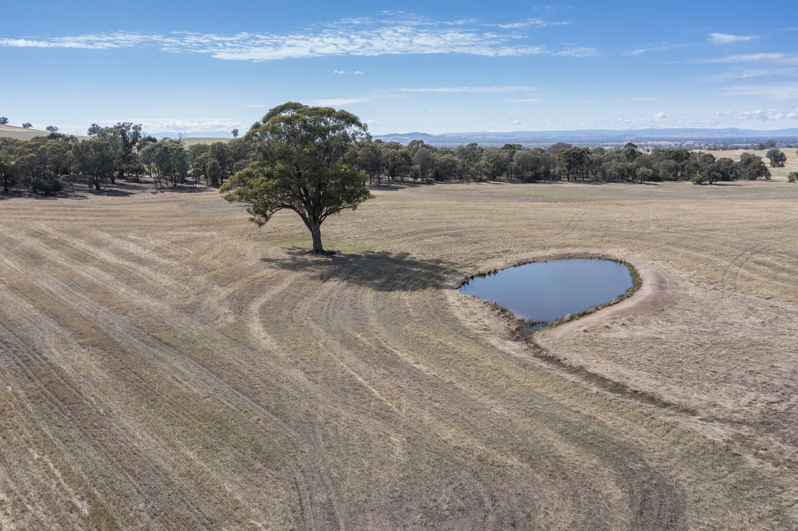 Additional image 6 of 646 Old Thoona Road, Goorambat VIC 3725