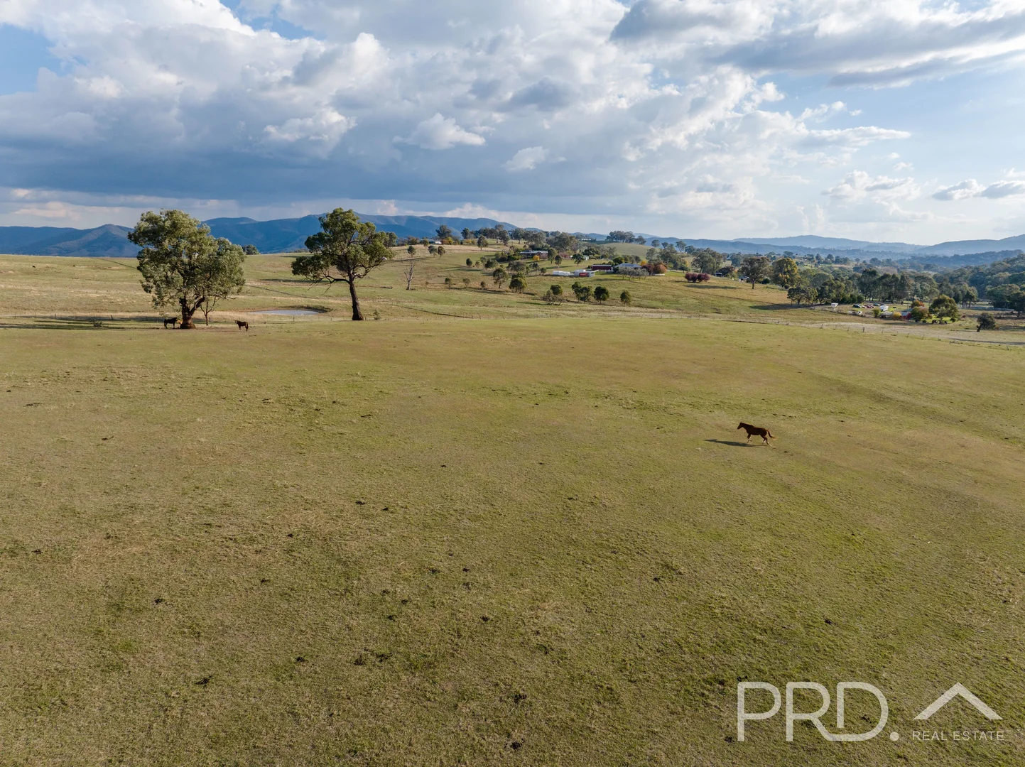 Additional image 27 of 330 Morgans Reserve Road, Tumut NSW 2720