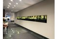 Additional image 3 of 1 Chagrle St S Unit 214, Boston, MA, 02116