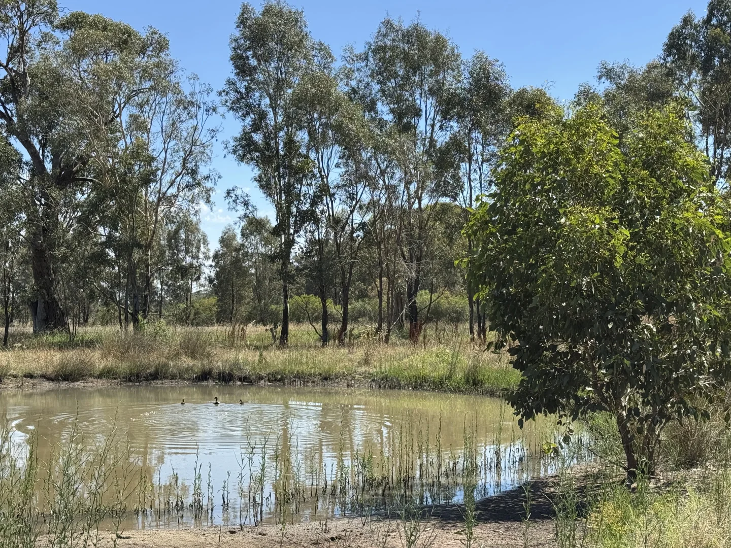 Additional image 20 of 740 Boland Road, Boorhaman VIC 3678