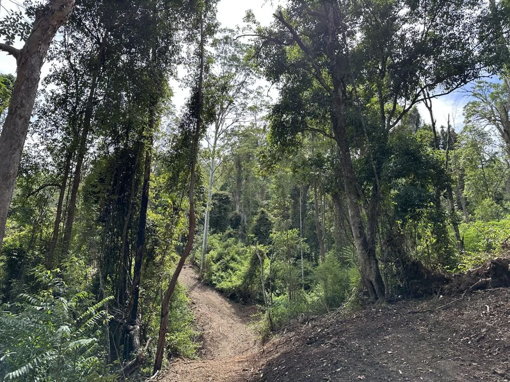 Additional image 3 of Comara NSW 2440