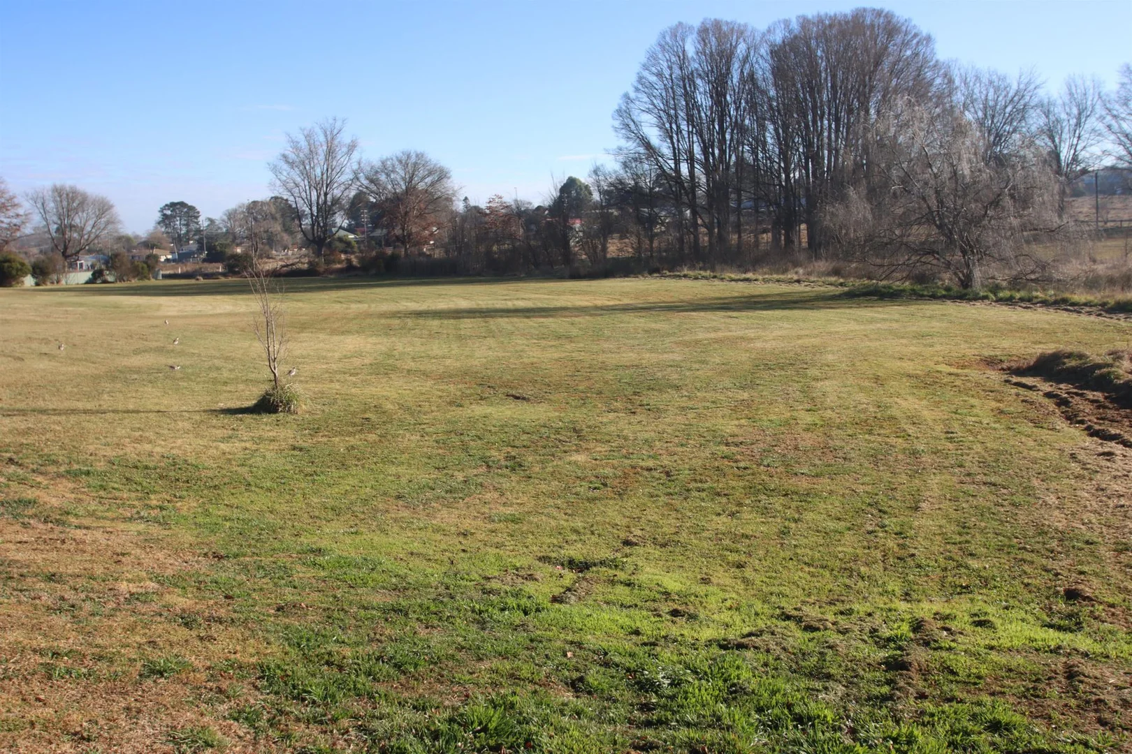 Additional image 2 of Lot 1 Clarence Street, Tenterfield NSW 2372