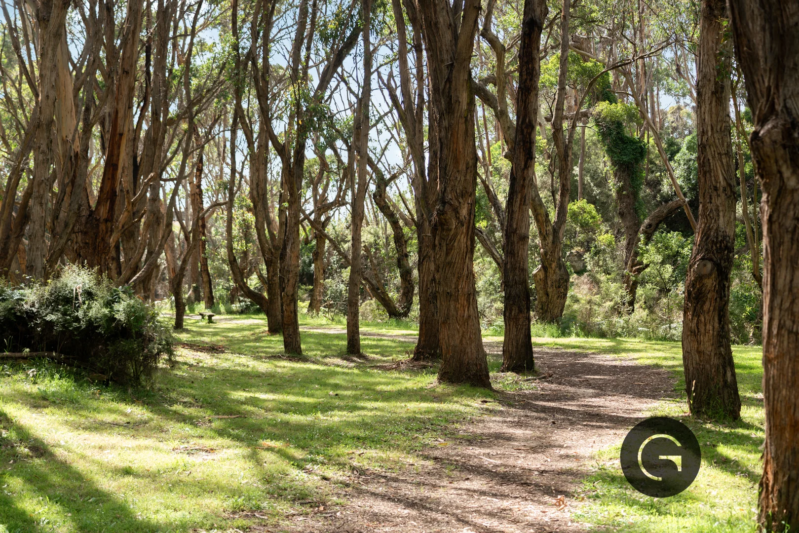 Additional image 9 of 1 Trade Winds Avenue, Lorne VIC 3232