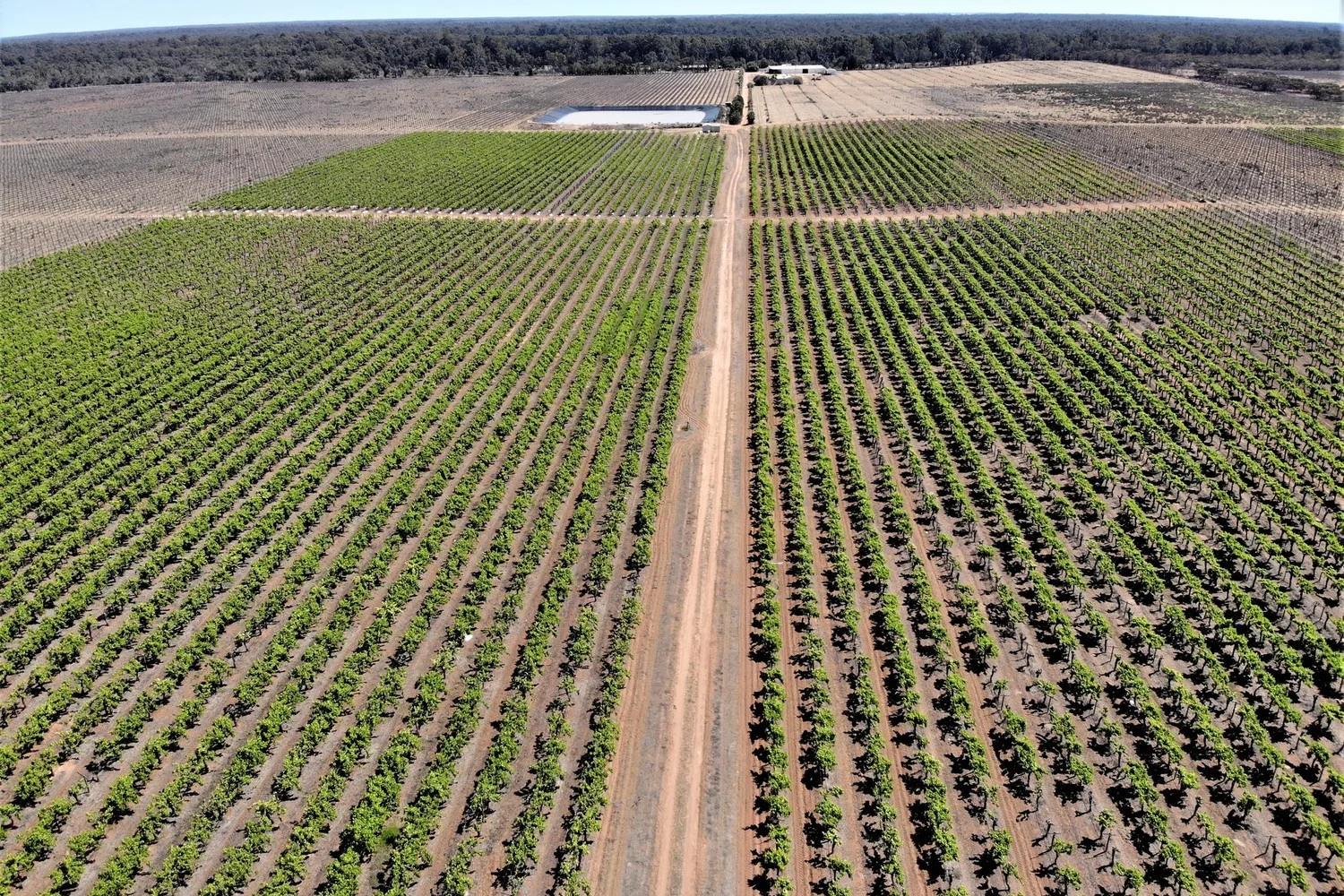 Additional image 13 of 2756 Tapalin Mail Road, Euston NSW 2737