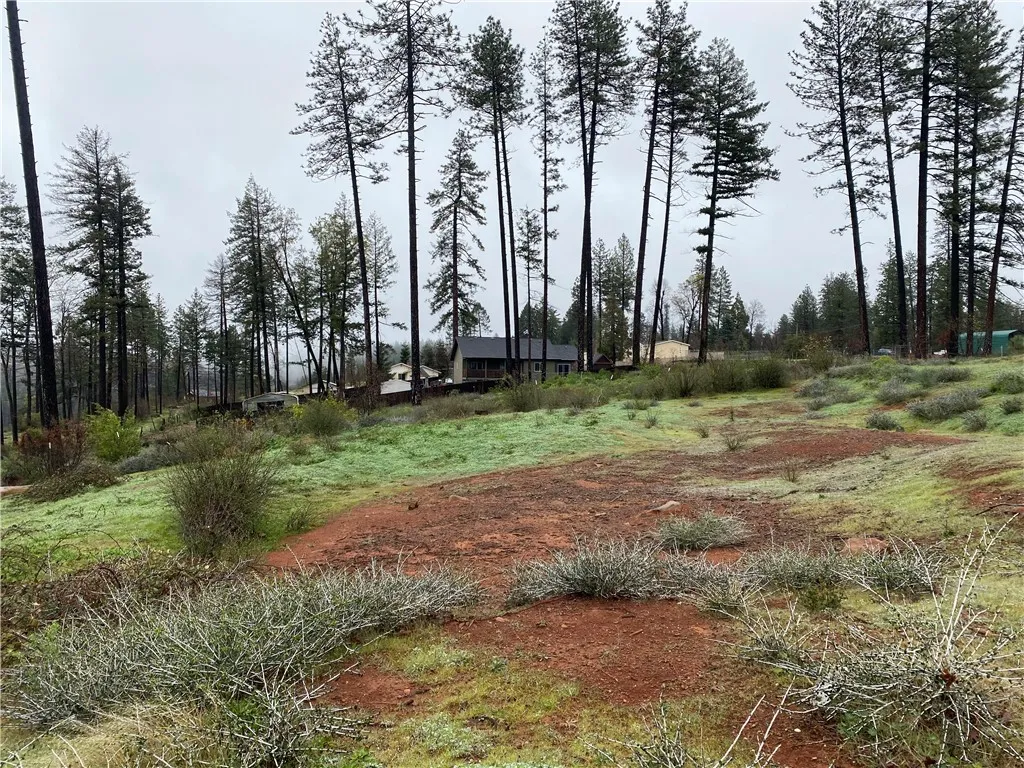 Additional image 11 of 8941 Skyway, Paradise, CA 95969