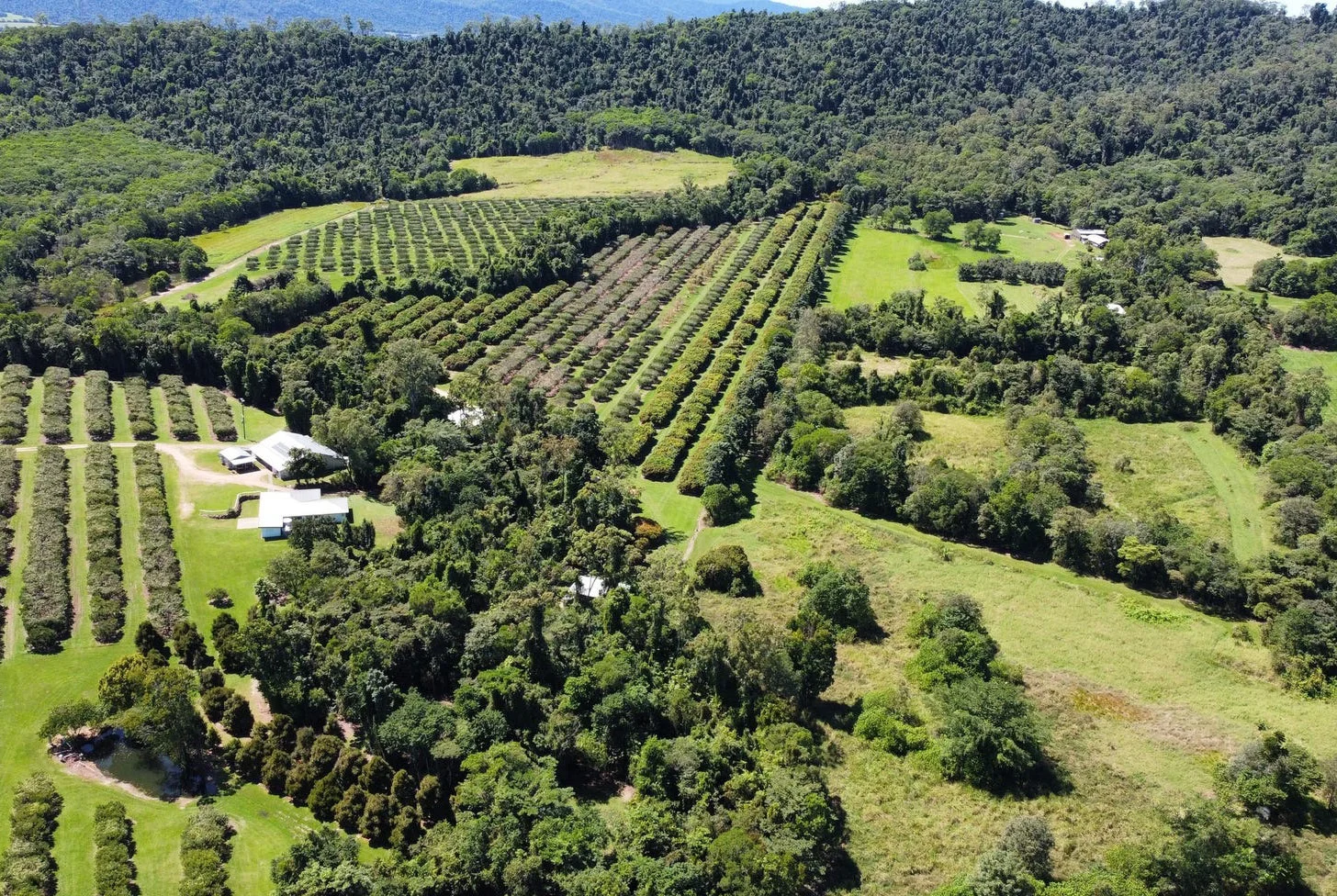 Additional image 38 of 281 Dingo Pocket Rd, Dingo Pocket QLD 4854