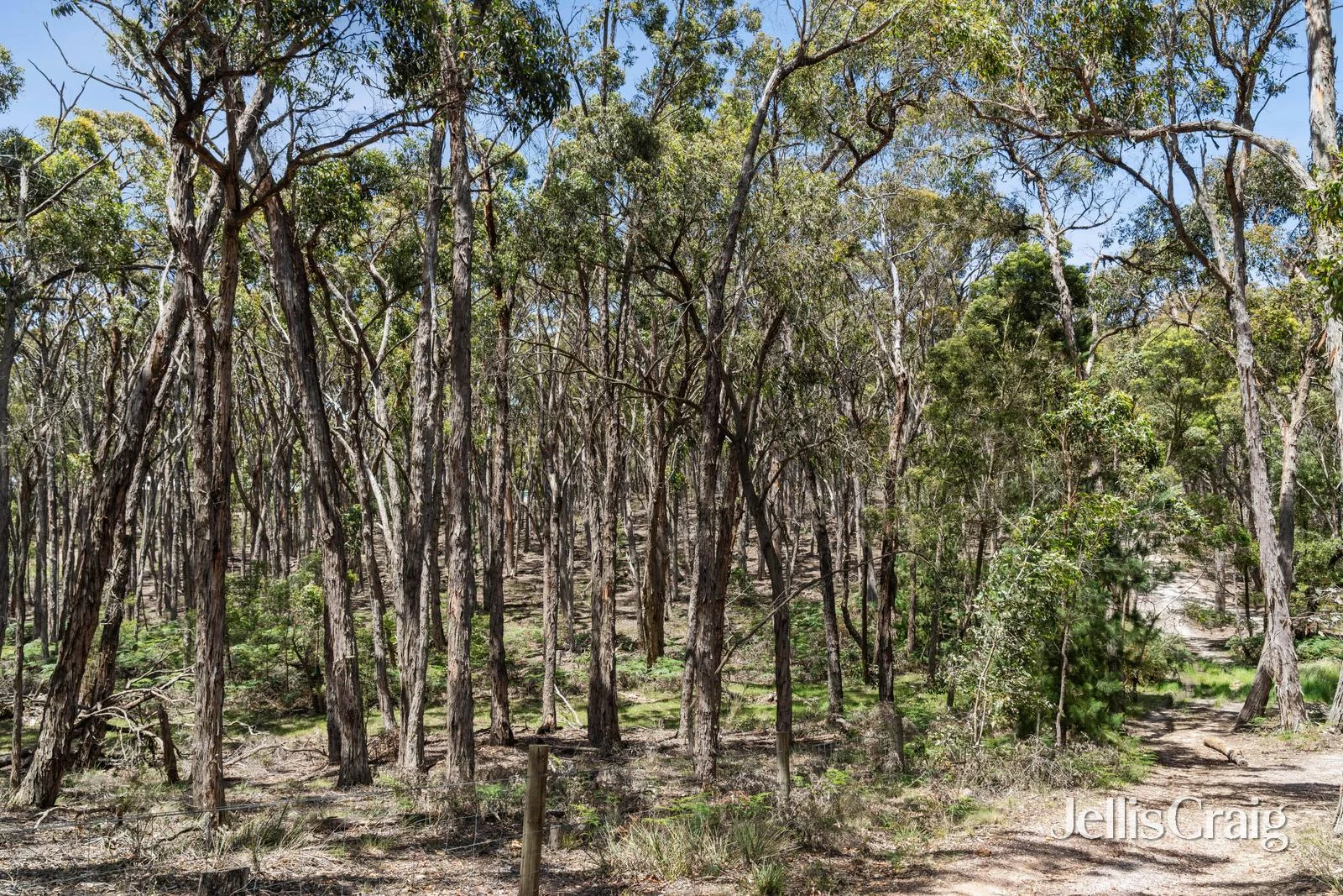 Additional image 6 of Lot 9 Post Office Road, Smythes Creek VIC 3351