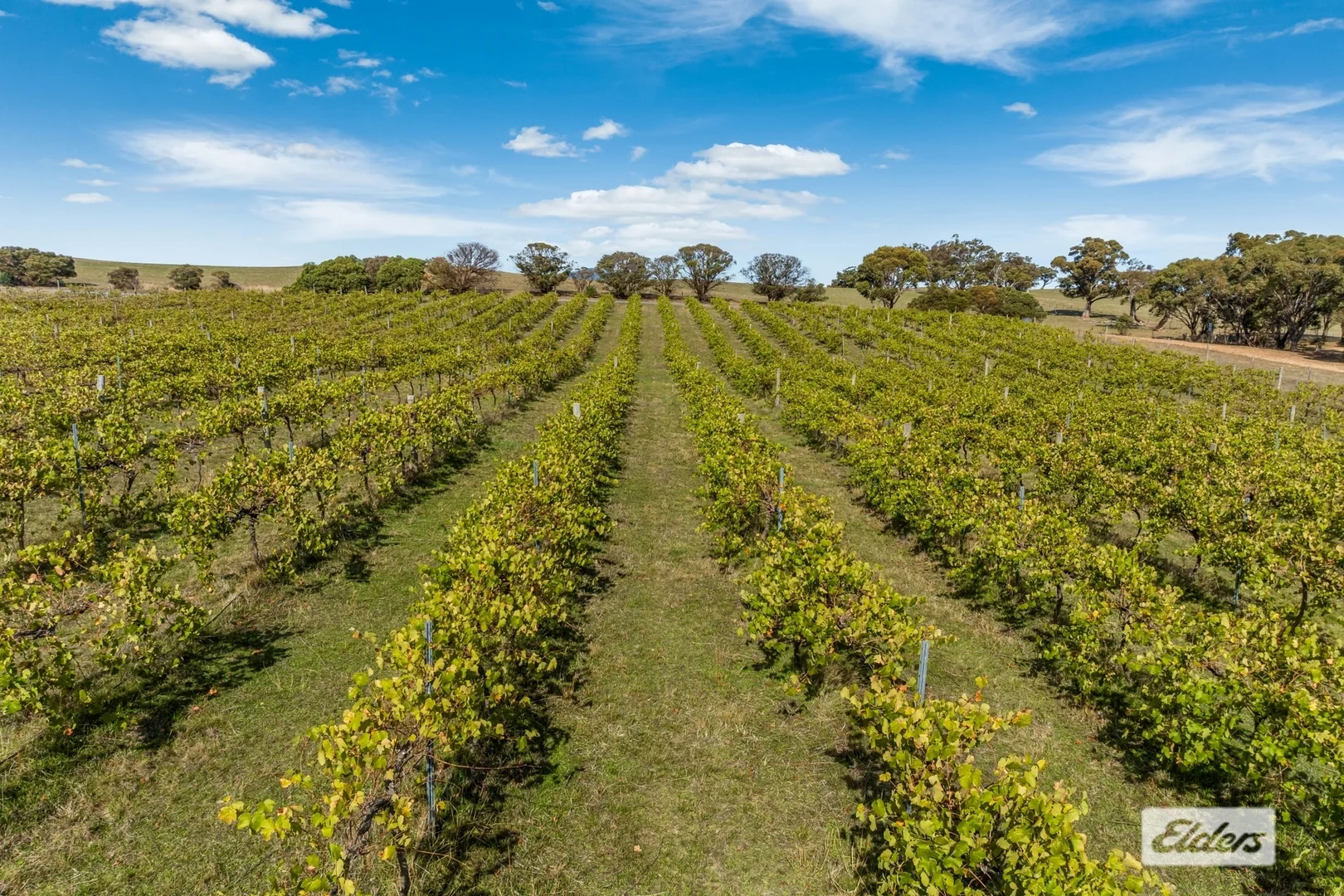 Additional image 42 of 114 Degraves Road, Crowlands VIC 3377