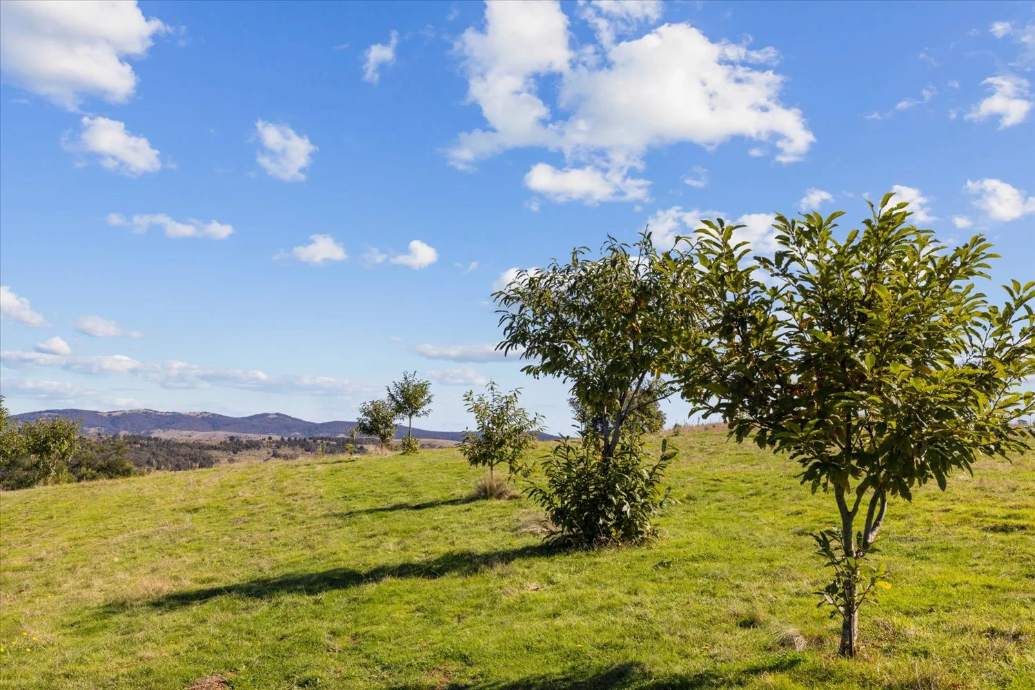 Additional image 19 of 134 Lakeview Road, Tarago NSW 2580