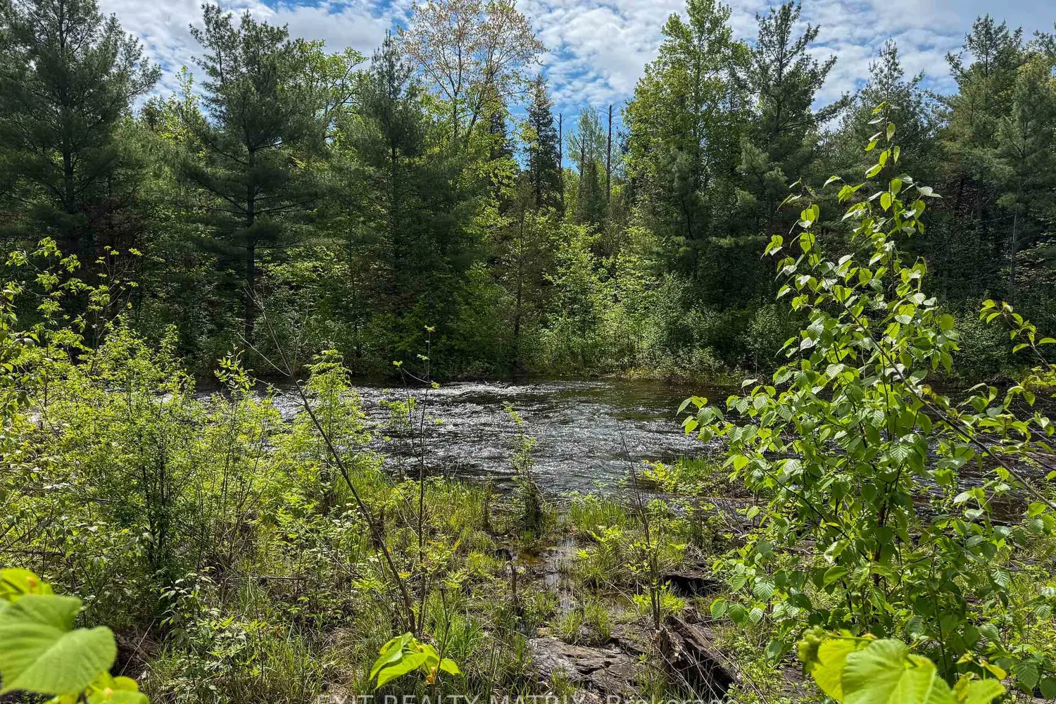 Additional image 12 of 12654 Lanark Road