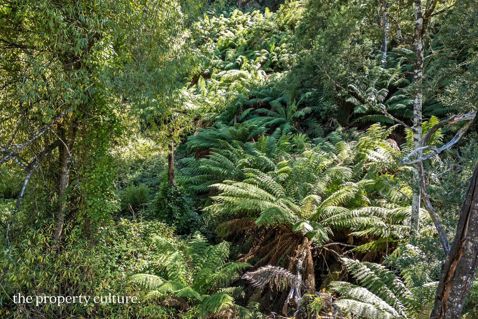 Additional image 18 of 126 New Road, Franklin TAS 7113