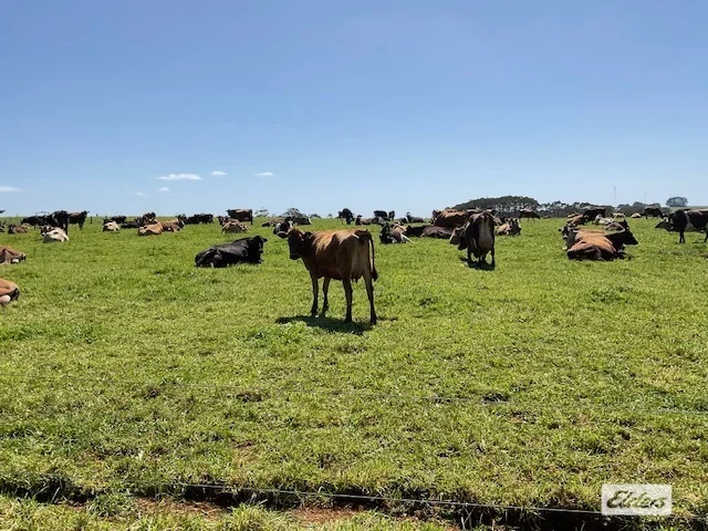 Additional image 29 of Dawkins Road, Lileah TAS 7330