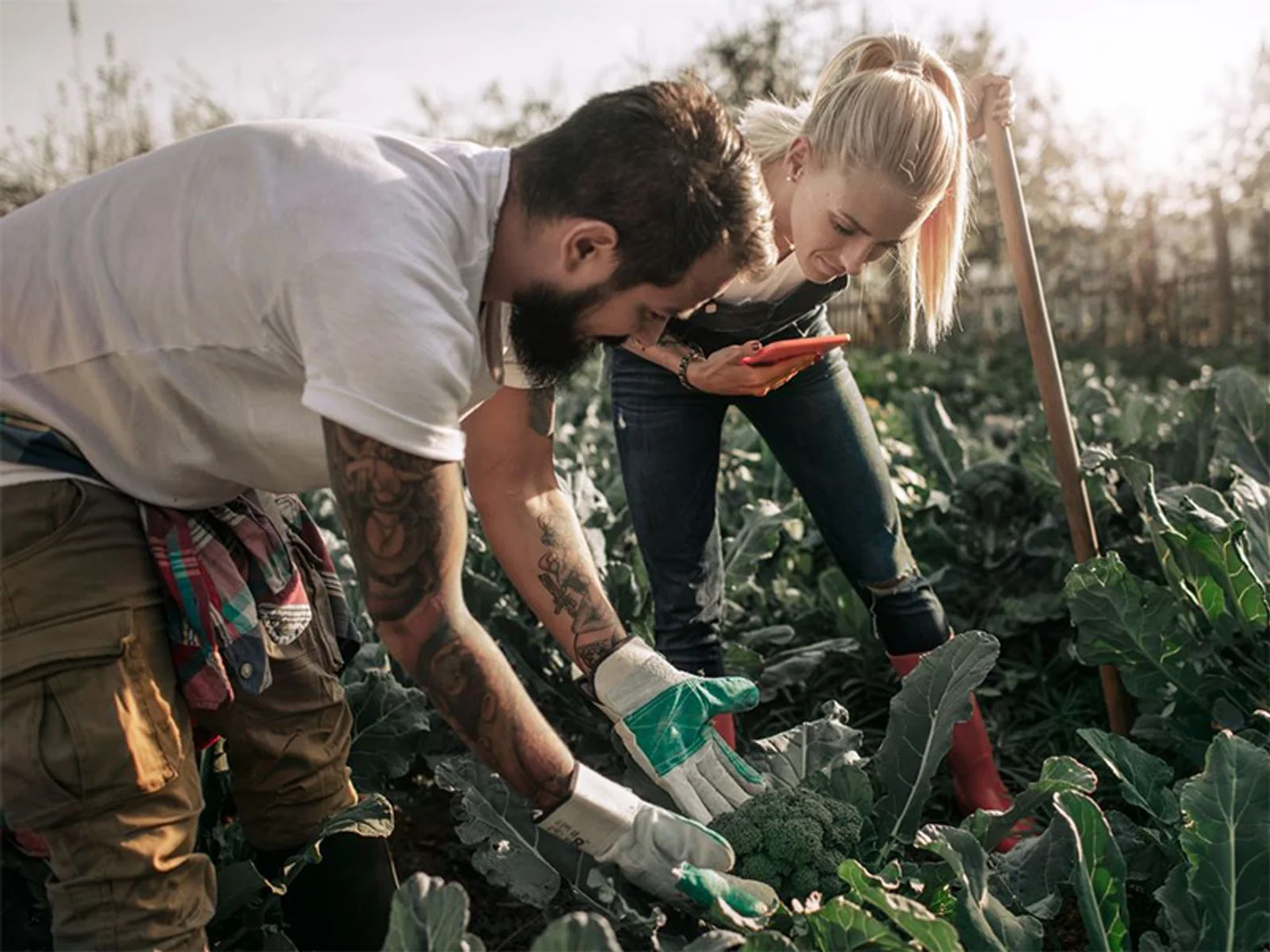 Additional image 31 of Lot 50 Borlaug Circuit, Baldivis WA 6171