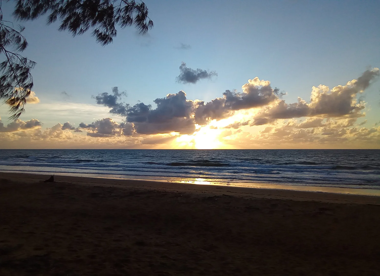 Additional image 22 of 9 Maple Road, Daintree QLD 4873