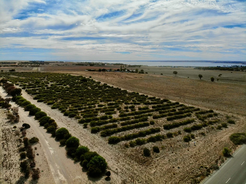 Additional image 4 of 51 Woodlawn Road, Streaky Bay SA 5680