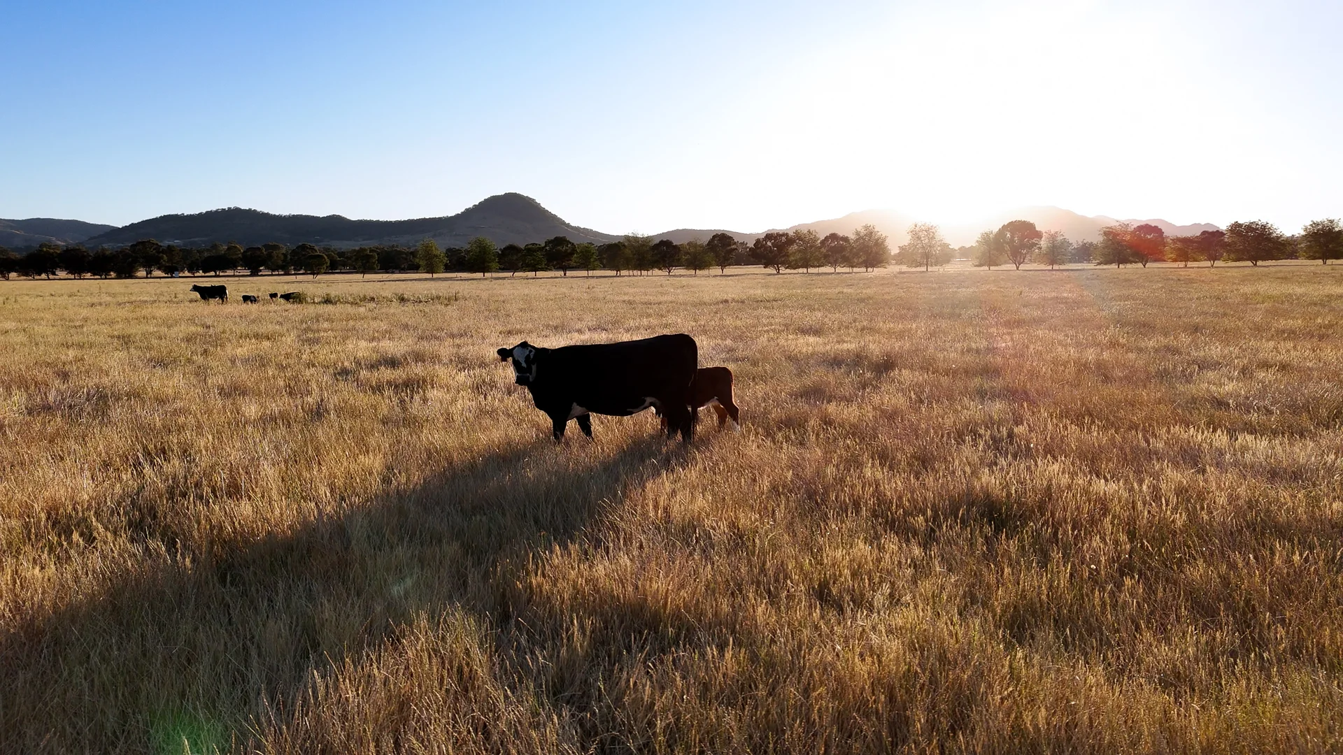 Additional image 2 of Lawson Estate, Mudgee NSW 2850