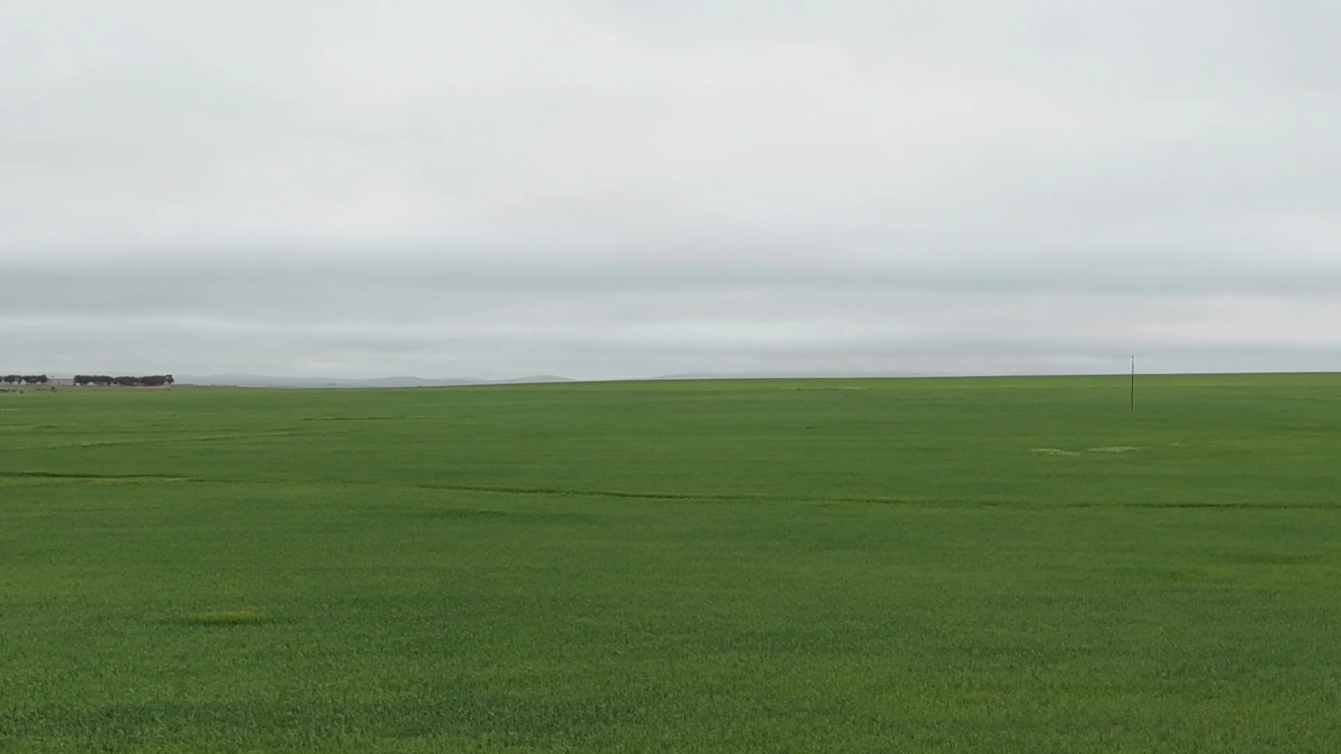 Additional image 19 of 26 Amyton Road, Willowie SA 5431