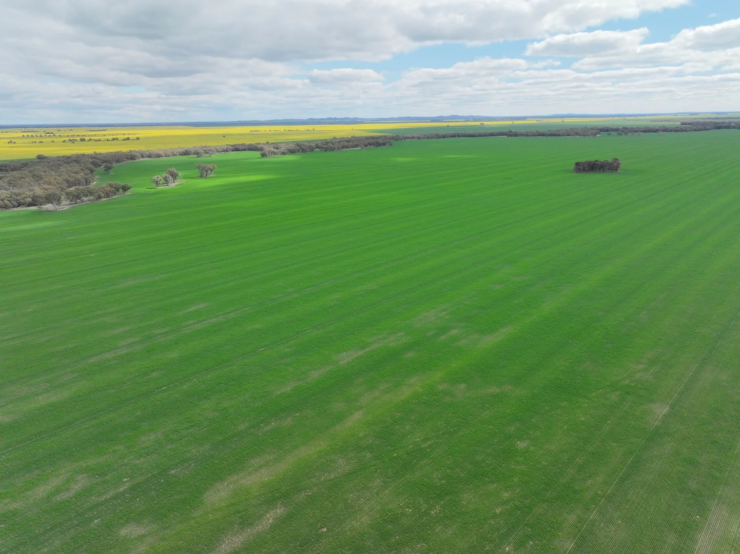 Additional image 4 of 'Williams Crossing' 139 Harris Lane, Quandialla NSW 2721