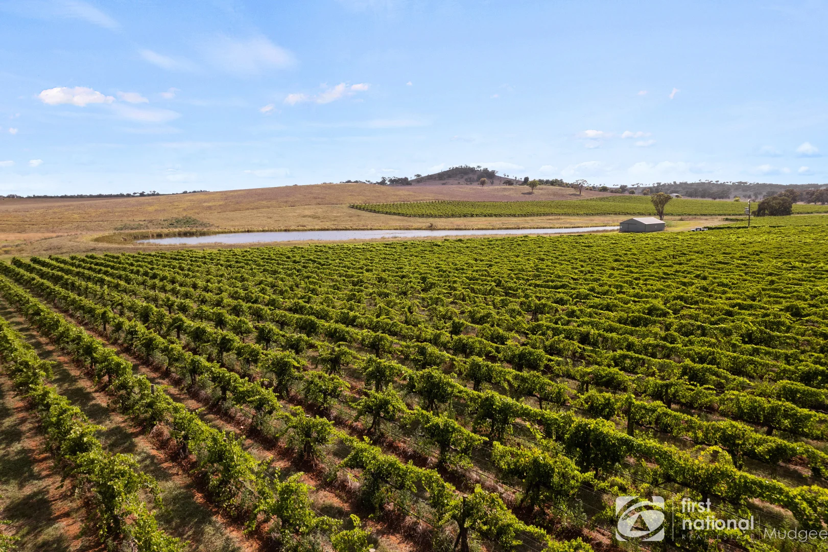 Additional image 4 of 70 Shiraz Drive, Gulgong NSW 2852