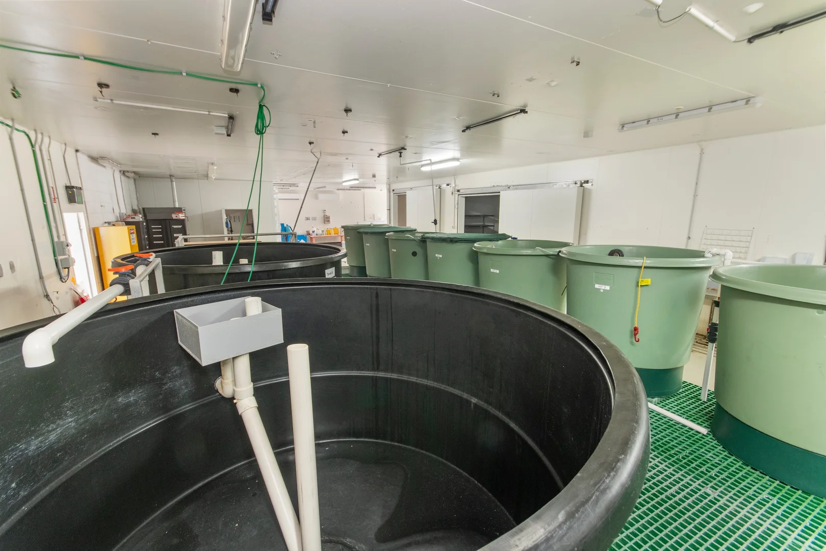 Additional image 20 of 43052 Bruce Highway, Clemant QLD 4816