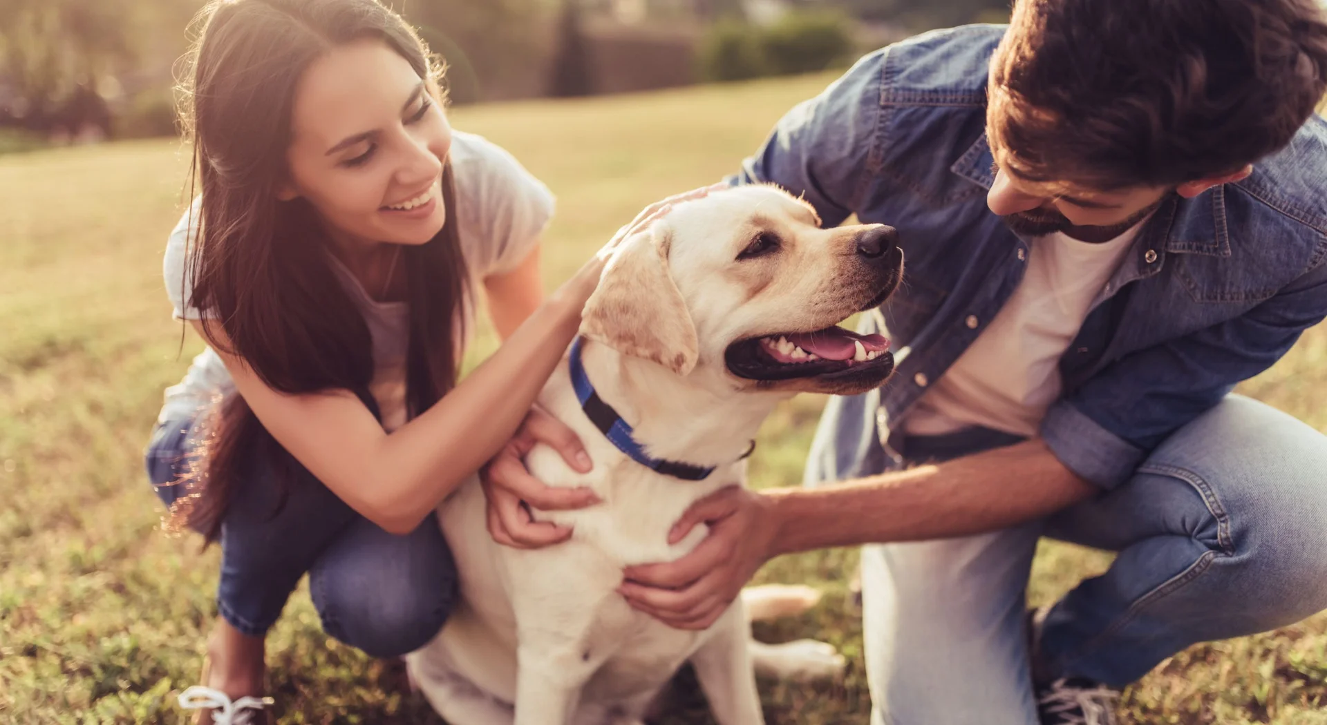 Additional image 4 of 417 lot 417 Pinehurst Street, Drouin VIC 3818