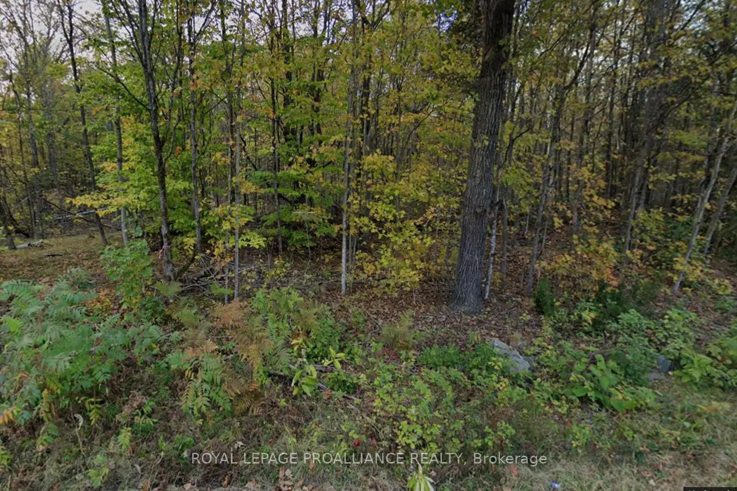 0 Myers Cave Road photo 2