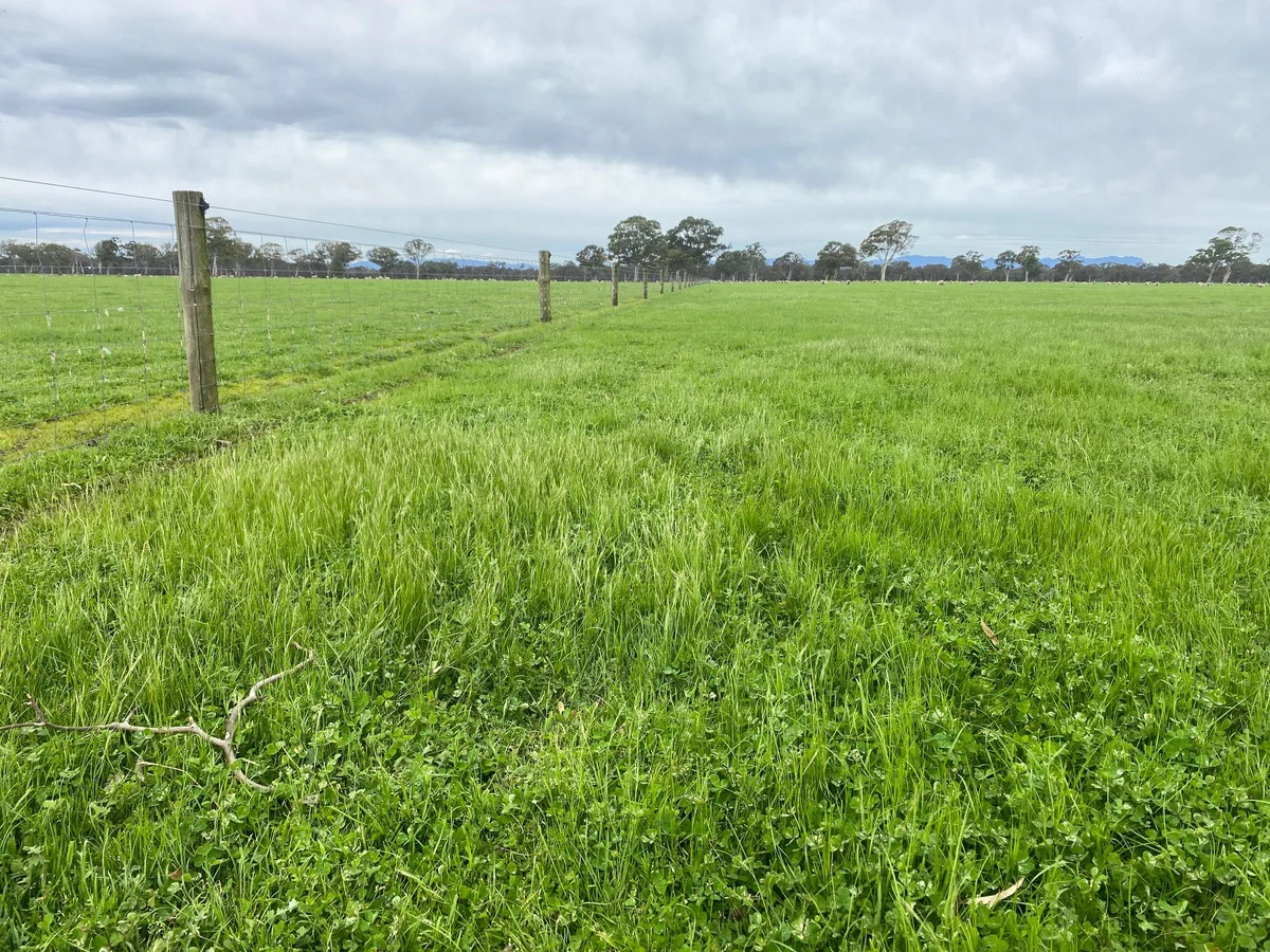 Additional image 11 of 813 Yarramyljup Road, Rocklands VIC 3401