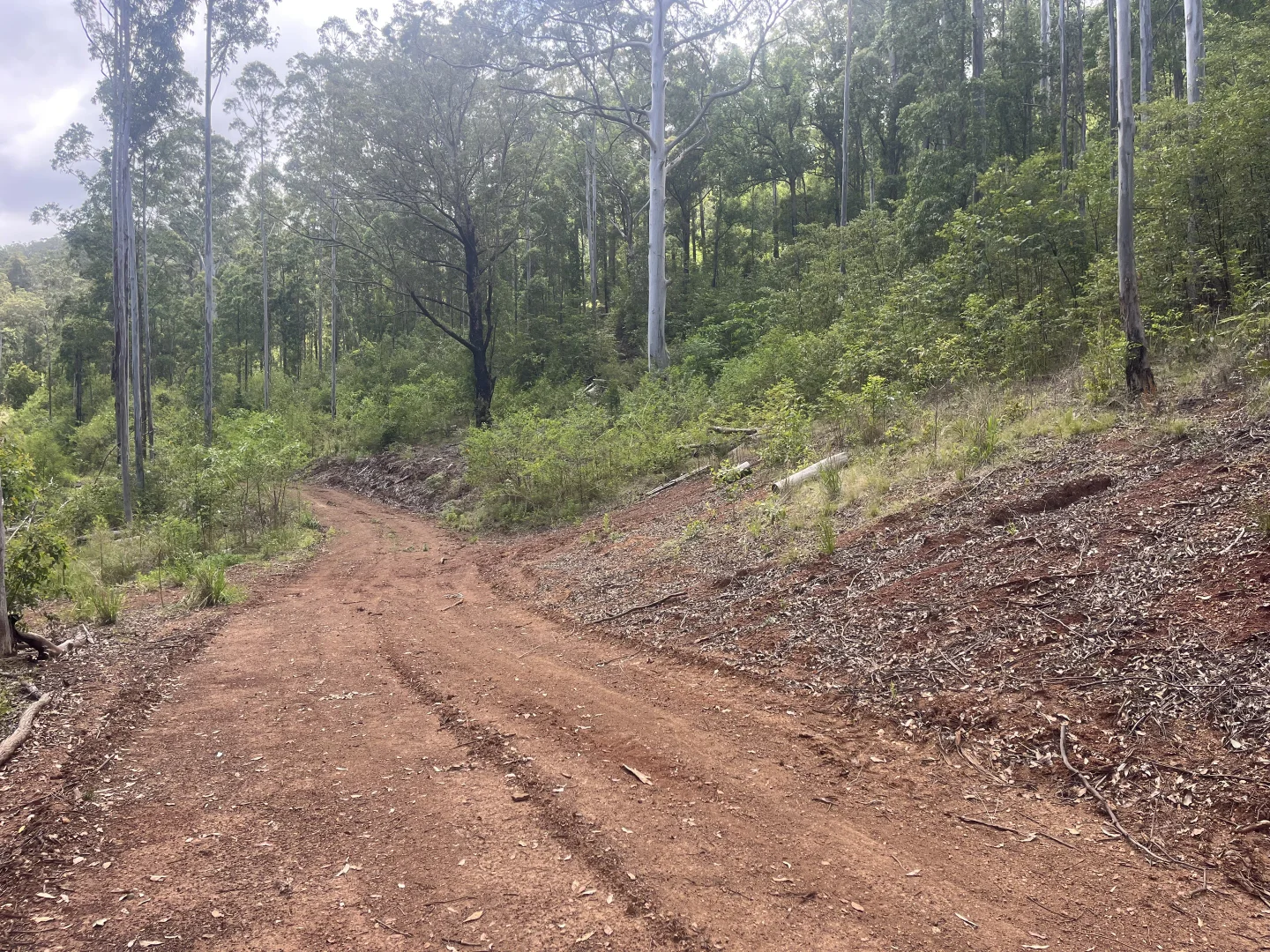 Additional image 17 of 173 Knodingbul Forest Road, Mount George NSW 2424
