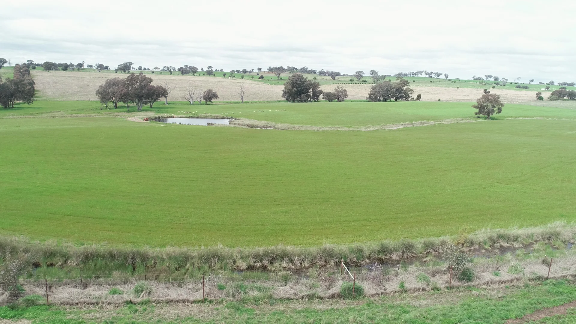 Additional image 4 of 823 Peabody Road, Molong NSW 2866