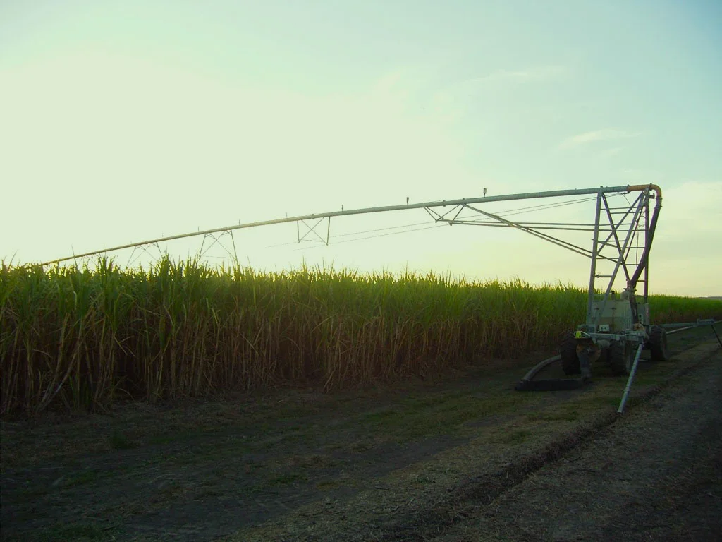 Additional image 4 of Lot 4 Marge Camerons Road, Marian QLD 4753