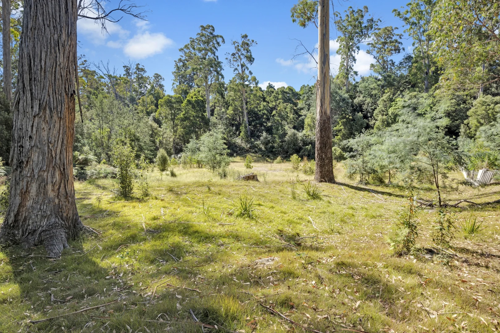 Additional image 19 of 73 Aldridge Street, York Town TAS 7270