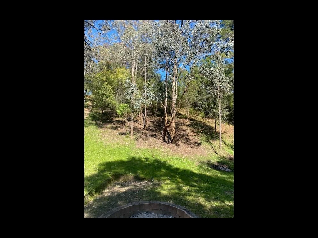 162 Taylor Bay Right Arm Road, Eildon VIC 3713