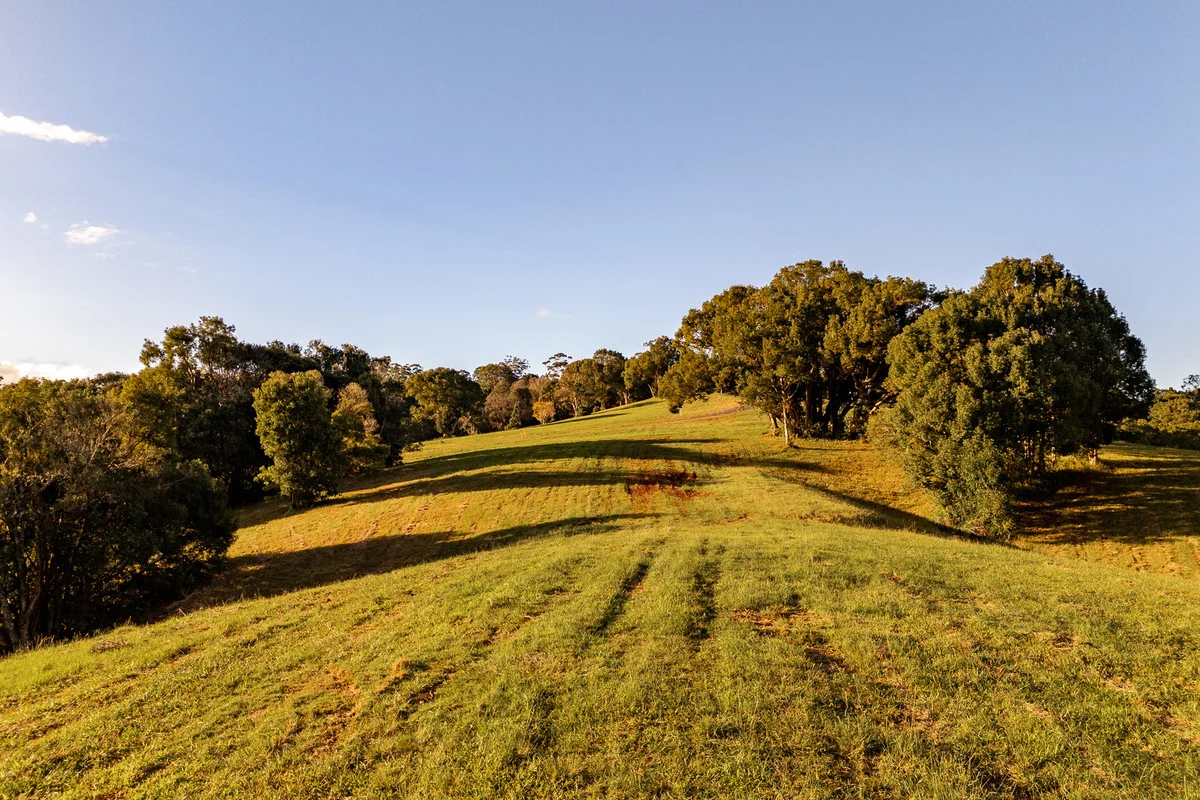 Additional image 5 of 400 Coorabell Road, Coorabell NSW 2479