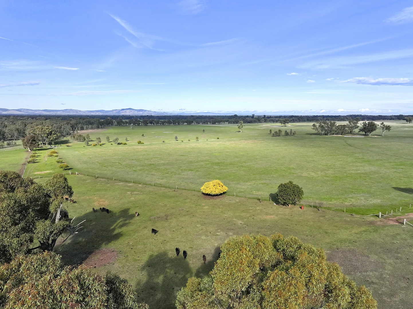 Additional image 20 of 158 Box Hill Lane, Upotipotpon VIC 3669