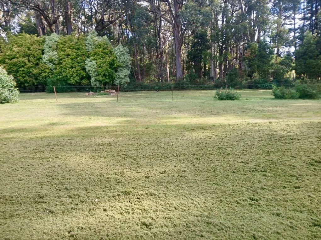 Additional image 16 of 47B Park Street, Trentham VIC 3458