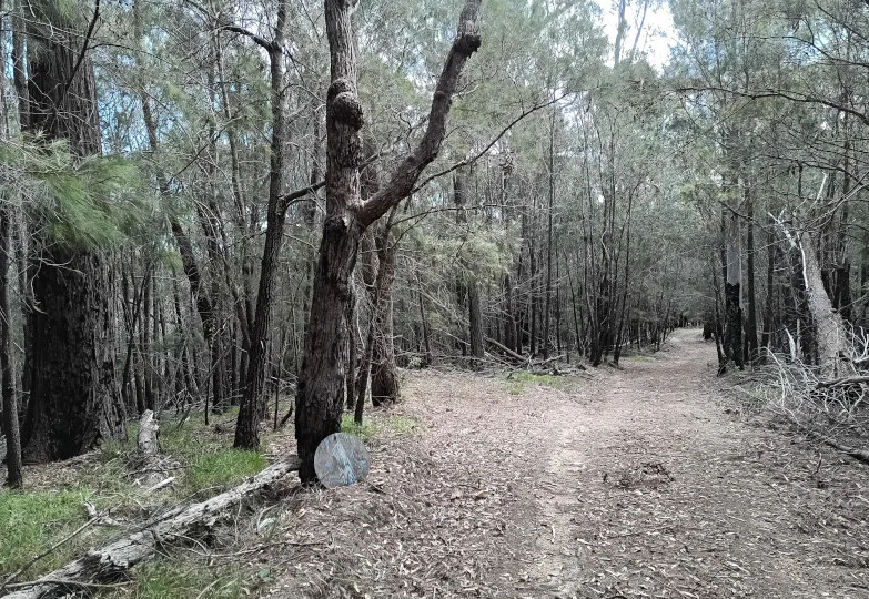 Additional image 17 of 328 Knights Creek Road, Murrah NSW 2546