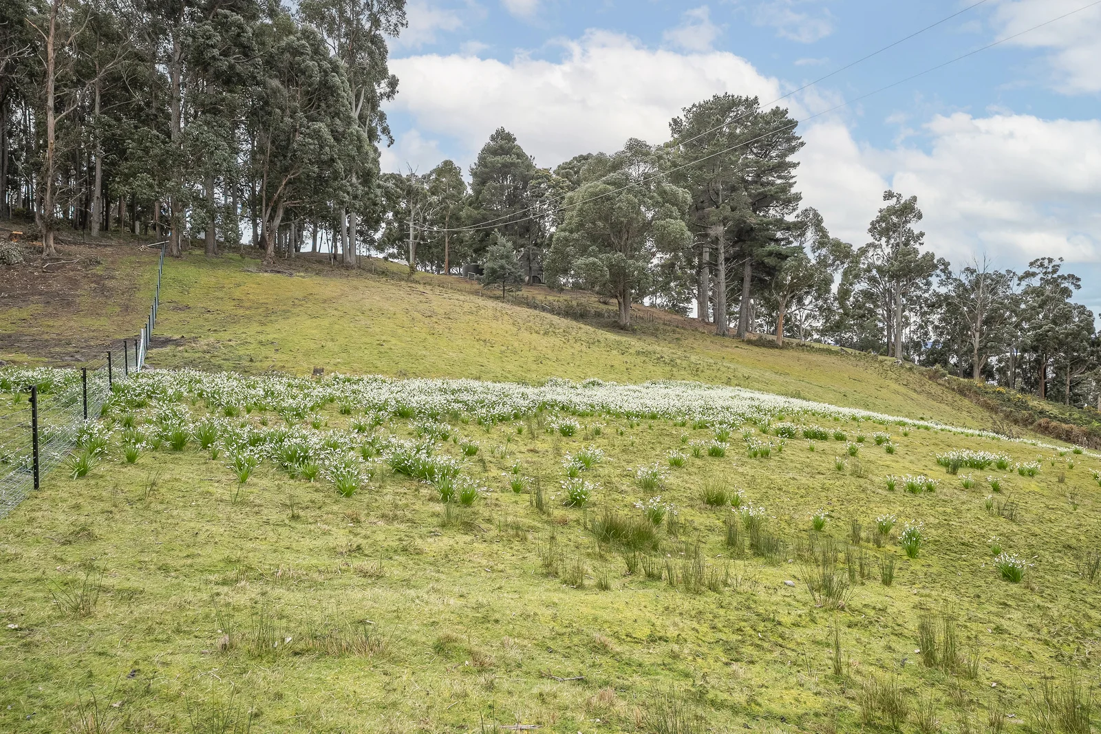 Additional image 5 of Lot 3/14 Cliffords Road, Gordon TAS 7150